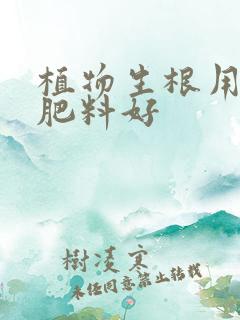 植物生根用什么肥料好