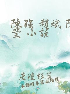 陈强 赵斌 陈莹 小说