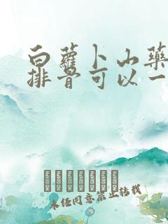 白萝卜山药玉米排骨可以一起炖吗