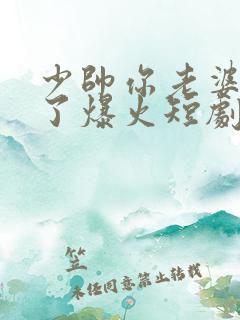 少帅你老婆又跑了爆火短剧