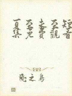 夏至未至短剧全集免费观看大结局