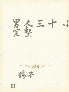 男人三十 小说完整