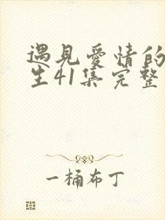 遇见爱情的利先生41集完整版