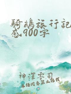 骑鹅旅行记读后感900字