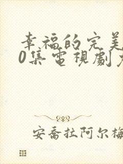 幸福的完美共40集电视剧免费观看
