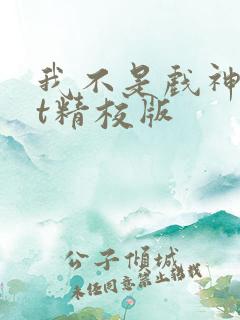 我不是戏神txt精校版