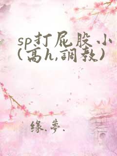sp打屁股小说(高h,调教)