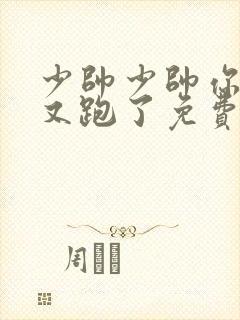 少帅少帅你老婆又跑了免费阅读