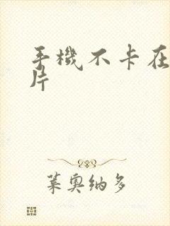 手机不卡在线看片