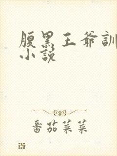 腹黑王爷训奴妃小说