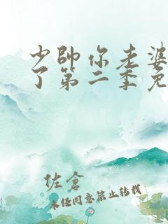 少帅你老婆又跑了第二季免费全集