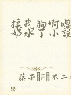 揉我胸啊嗯～出奶水了小说