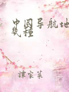 中国导航地图有几种