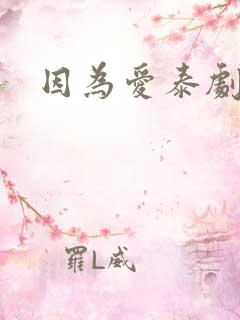 因为爱泰剧