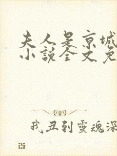 夫人是京城一霸小说全文免费阅读
