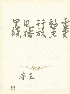 黑风行动电影在线播放免费