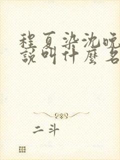 程夏染沈晚棠小说叫什么名字