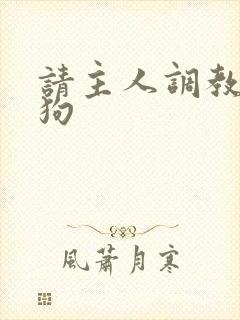 请主人调教贱母狗