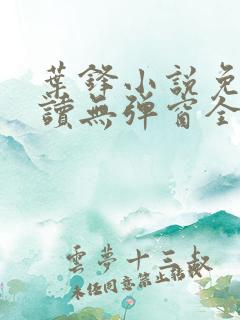 叶锋小说免费阅读无弹窗全文