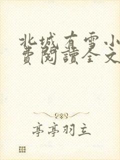 北城有雪小说免费阅读全文