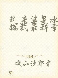 我老婆是冰山女总裁最新章节阅读