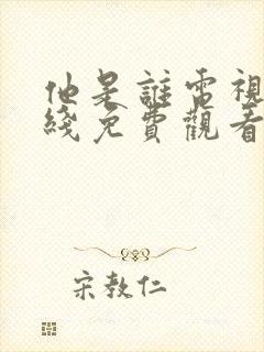 他是谁电视剧在线免费观看完整版