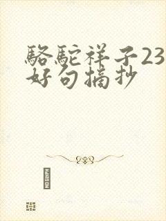骆驼祥子23章好句摘抄