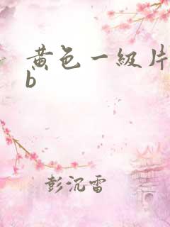 黄色一级片bbb