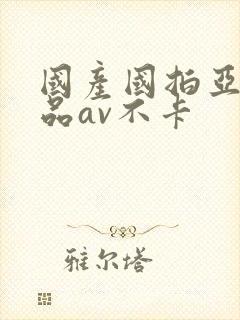 国产国拍亚洲精品av不卡