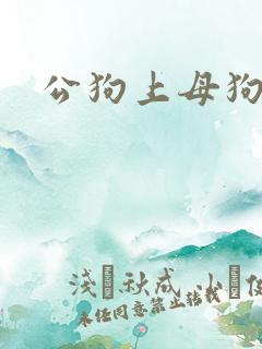 公狗上母狗by