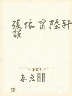 张依甯陆轩的小说