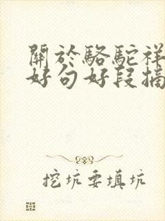 关于骆驼祥子的好句好段摘抄