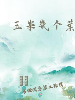玉米几个叶成熟
