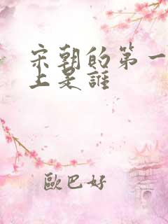 宋朝的第一个皇上是谁