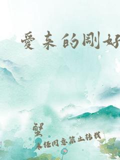 爱来的刚好结局