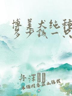 博美犬纯种大约多少钱一只