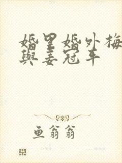 婚里婚外梅珊珊与姜冠平