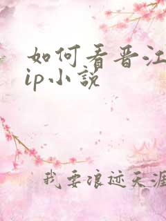 如何看晋江的vip小说