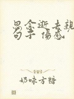 思念逝去亲人的句子 伤感