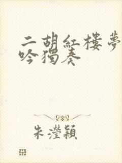 二胡红楼梦葬花吟独奏