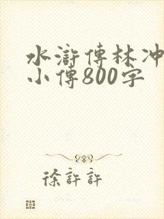 水浒传林冲人物小传800字