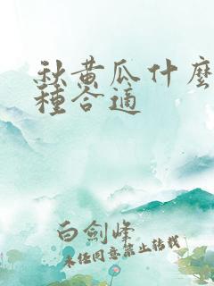 秋黄瓜什么时候种合适