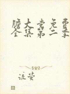 胆大党免费观看全集第二季
