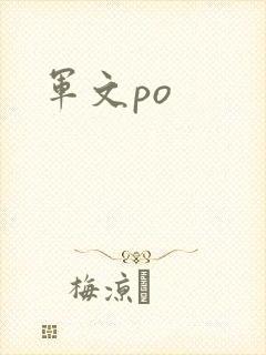 军文po