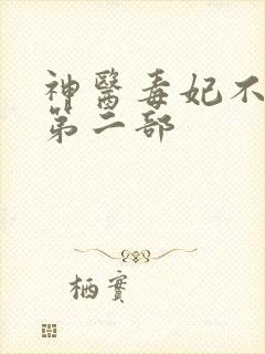 神医毒妃不好惹第二部