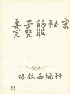 妻子的秘密小说完整版