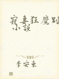 宠妻狂魔别太坏 小说