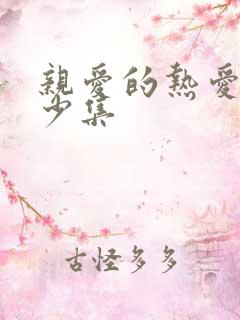 亲爱的热爱的多少集