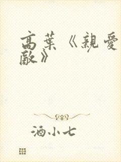 高叶《亲爱的仇敌》