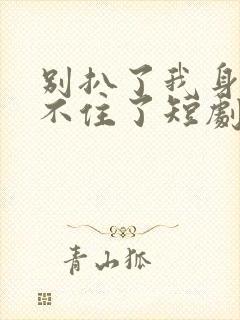 别扒了我身份藏不住了短剧免费观看
